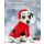Weihnachtsmann - Hundekostüm ca.28cm